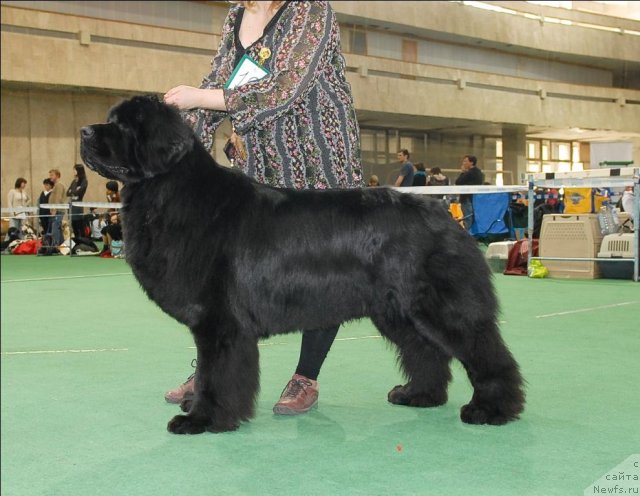 Фотография № 63125