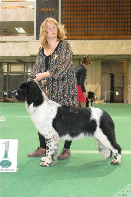 Фотография № 63130