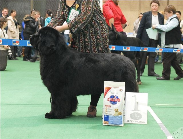 Фотография № 63138