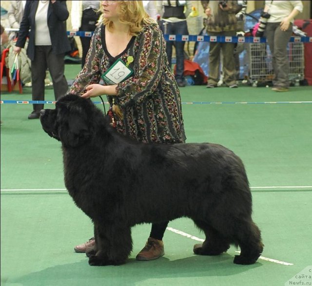 Фотография № 63139