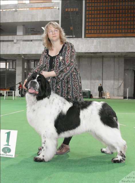 Фото: ньюфаундленд Сент Джонс Парад Планет