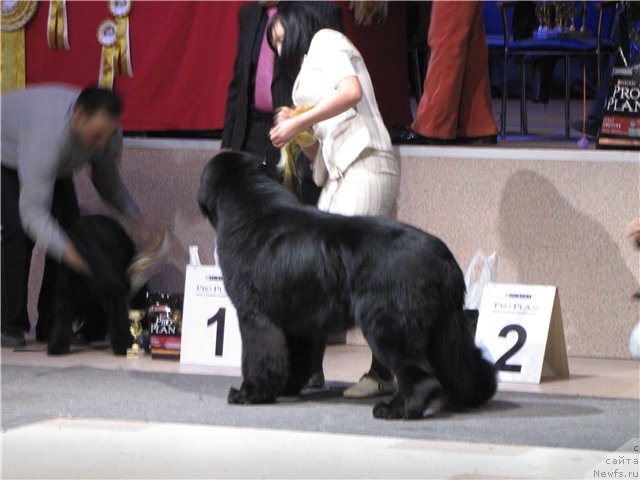 Фотография № 63161