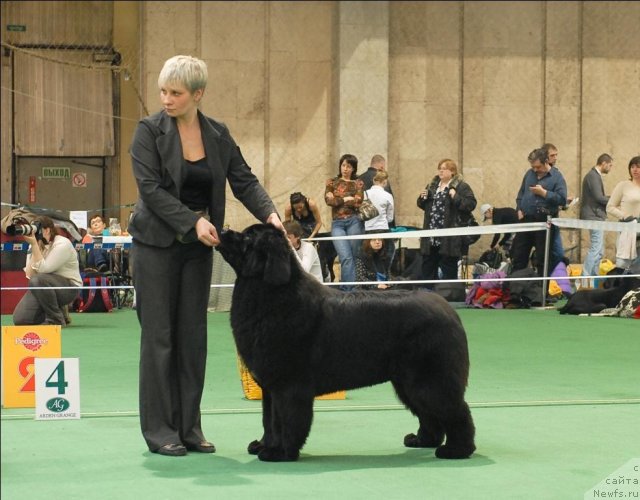 Фотография № 63170