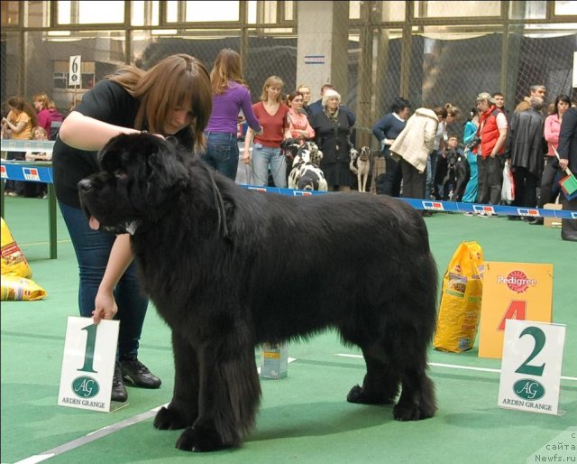 Фотография № 63172