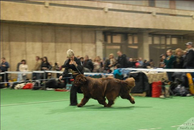 Фотография № 63175