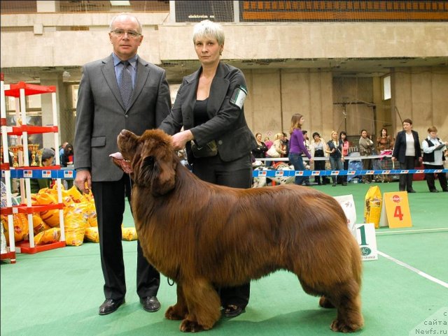 Фотография № 63177