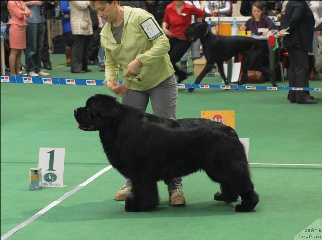 Фотография № 63181