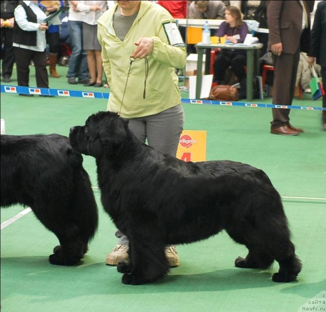 Фотография № 63182