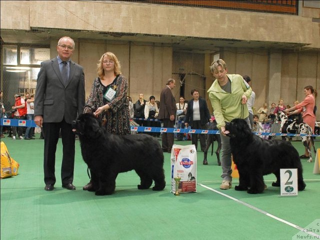 Фотография № 63183