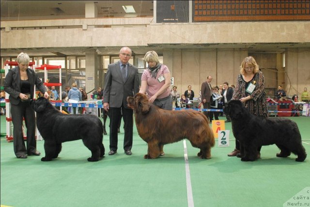 Фотография № 63184