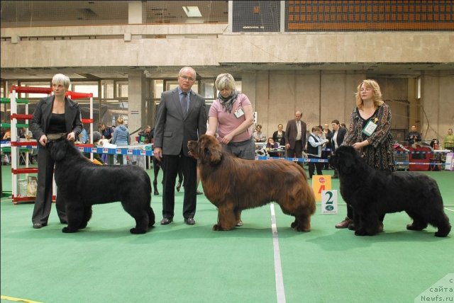 Фотография № 63185