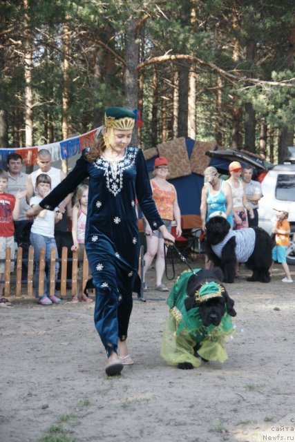 Фотография № 63216