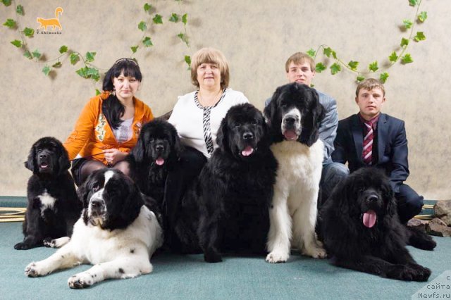 Фотография № 63218