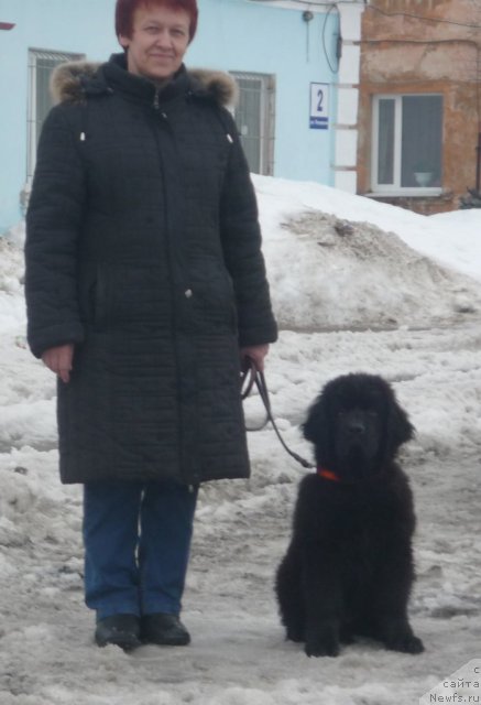 Фотография № 63257