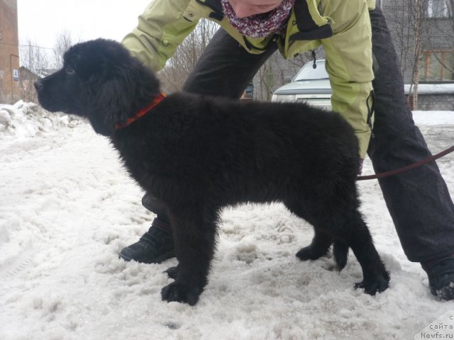 Фотография № 63258