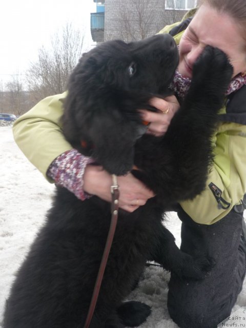 Фотография № 63260