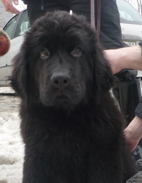 Фотография № 63261