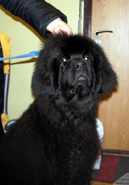 Фотография № 63349