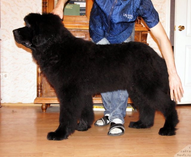 Фотография № 63350