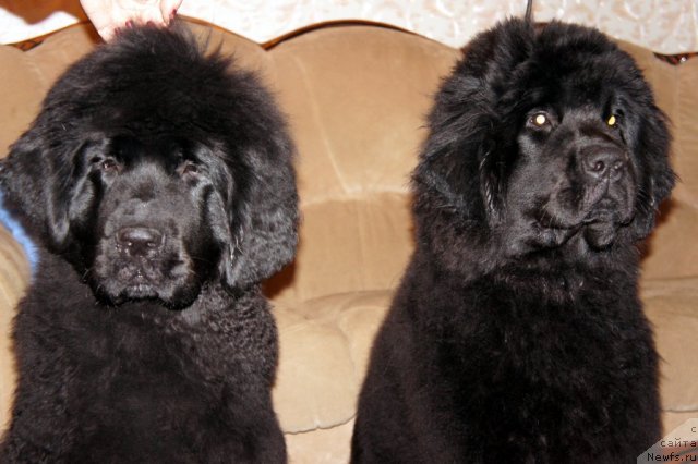 Фотография № 63355