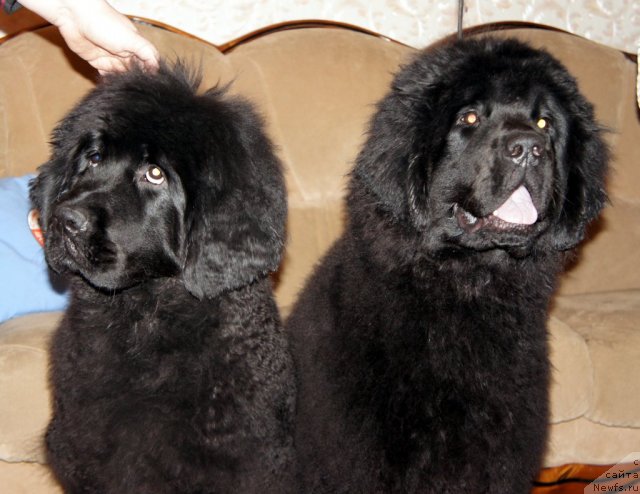 Фотография № 63356