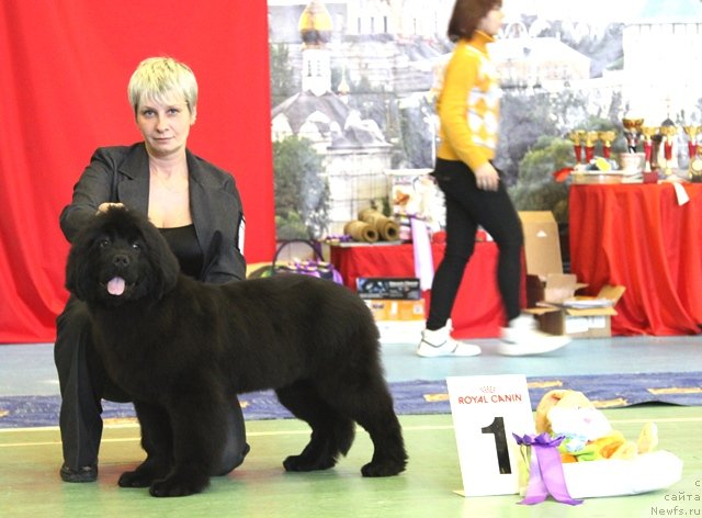 Фотография № 63362