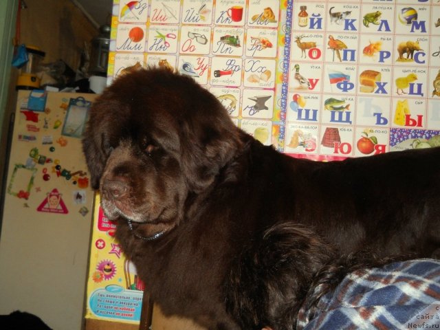 Фотография № 63365