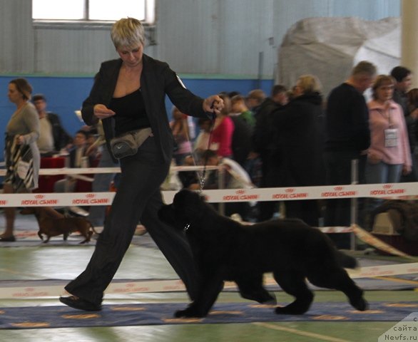 Фотография № 63366