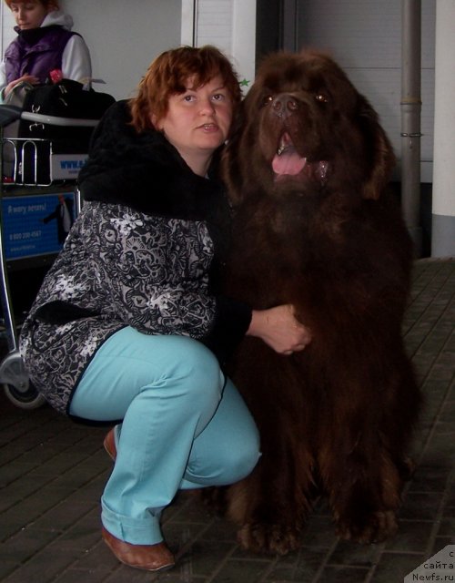 Фотография № 63408