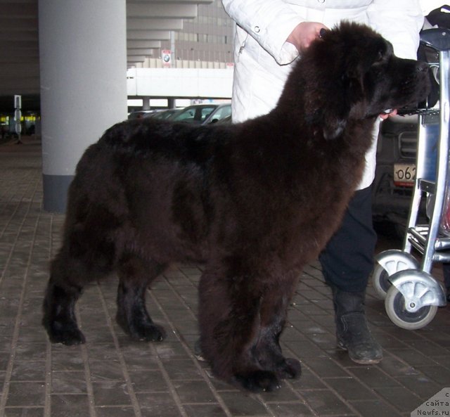 Фото: [f63408:big]