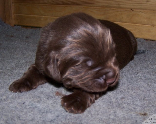 Фотография № 63413