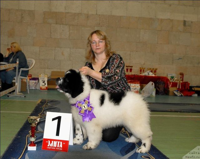 Фотография № 63420