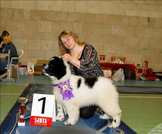 Фотография № 63421