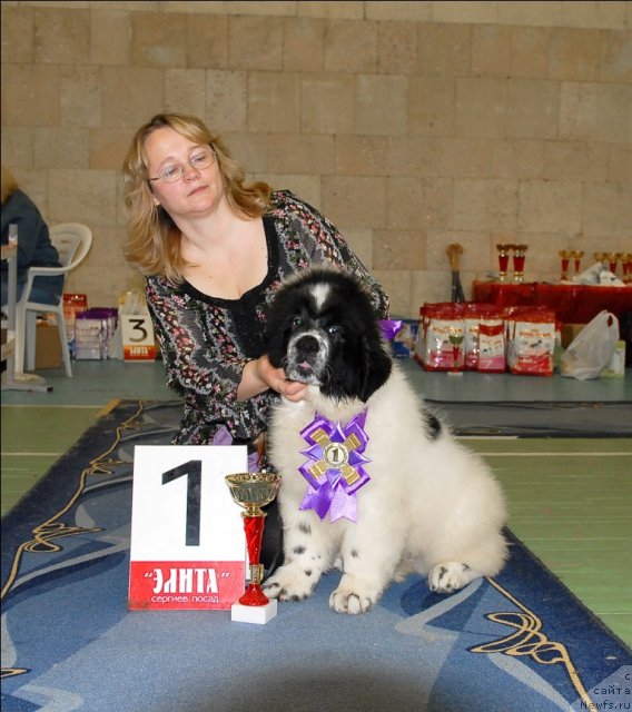 Фотография № 63422