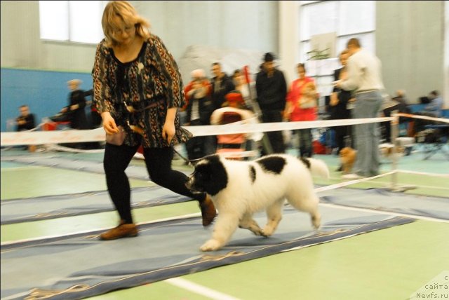 Фотография № 63423