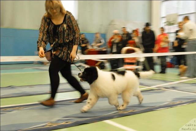 Фотография № 63424