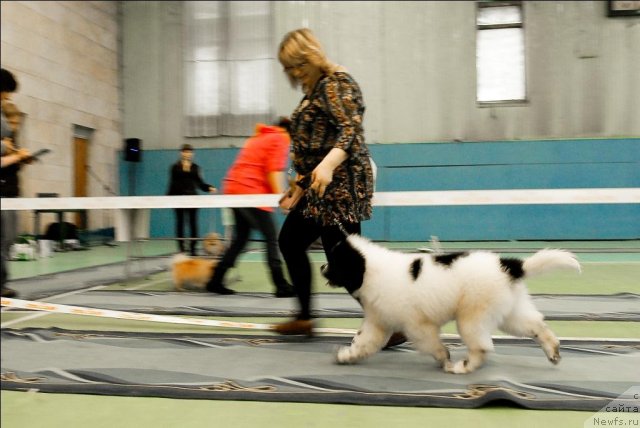 Фотография № 63428