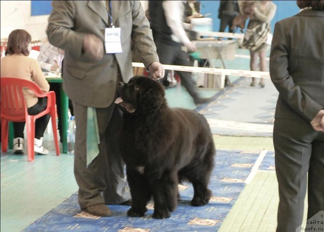 Фотография № 63429