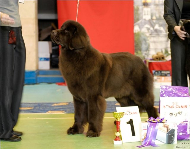 Фотография № 63433