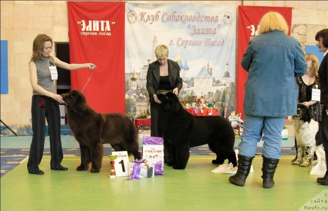 Фотография № 63434