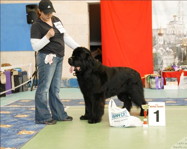 Фотография № 63441