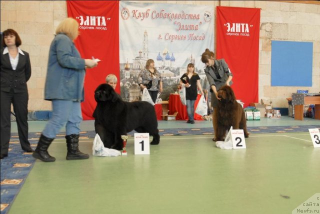 Фотография № 63443