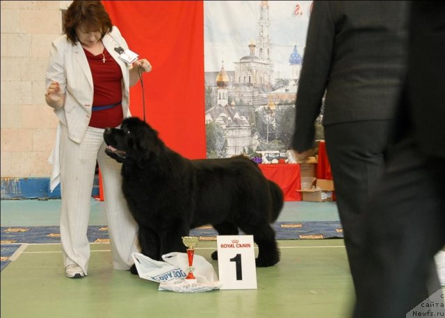 Фотография № 63447