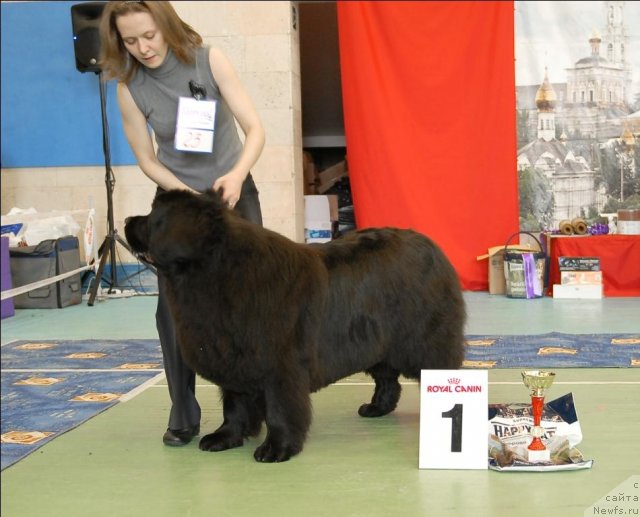 Фотография № 63449