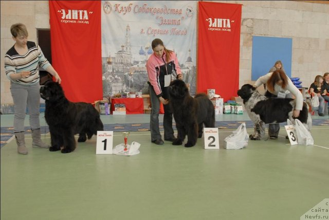 Фотография № 63450