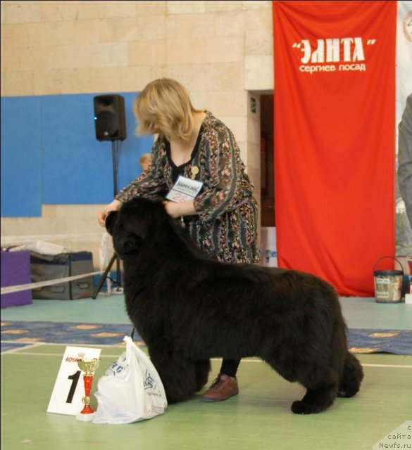 Фотография № 63453