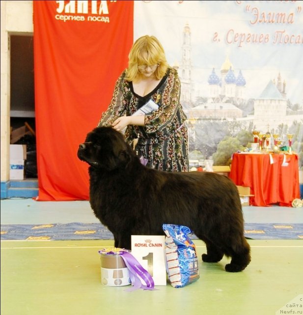 Фотография № 63454