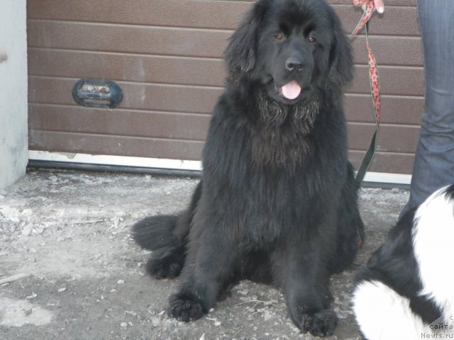 Фотография № 63465