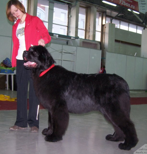 Фотография № 63487