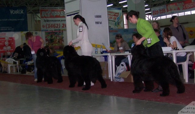 Фотография № 63491